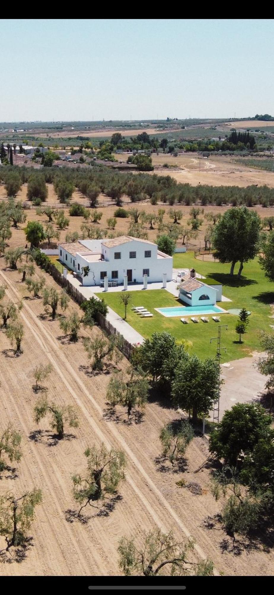 Finca El Lobito - Seville — Photos 3